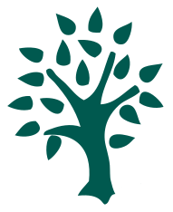 Logo von "Wald und Stille". Eine Grafik mit grünem Baum.